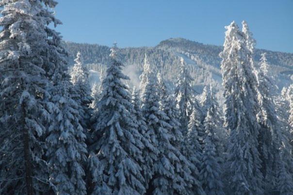 Aparthotel Borovets Gardens Esterno foto