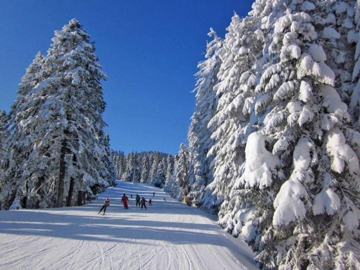 Aparthotel Borovets Gardens Esterno foto
